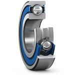 skf_w6007_2rs1vp311