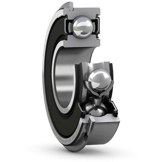 skf_6005_2rshnr
