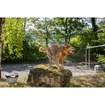 karcher_26444210