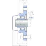skf_f2bc40m_cpss_dfh_2