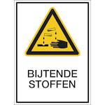 brady_809870