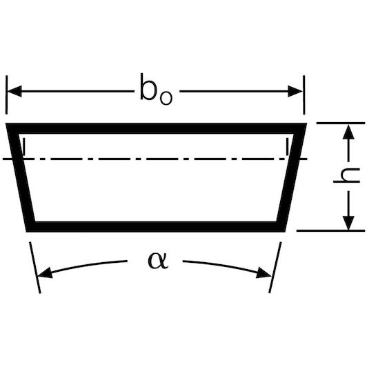 conti_300x100x875_2
