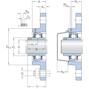 skf_ucfl209h_2