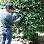 makita_eh6000w