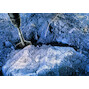 bosch_1618601017_7