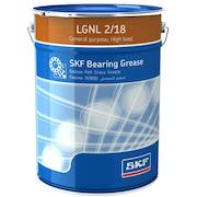 skf_lgnl218