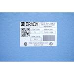 brady_030284_3