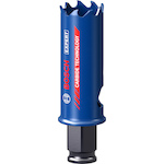 bosch_2608900421