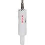 bosch_2609255601