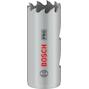 bosch_2608901495