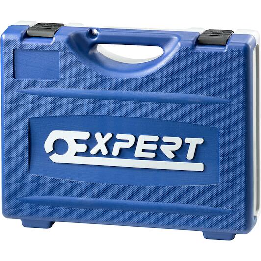 expert_e034855