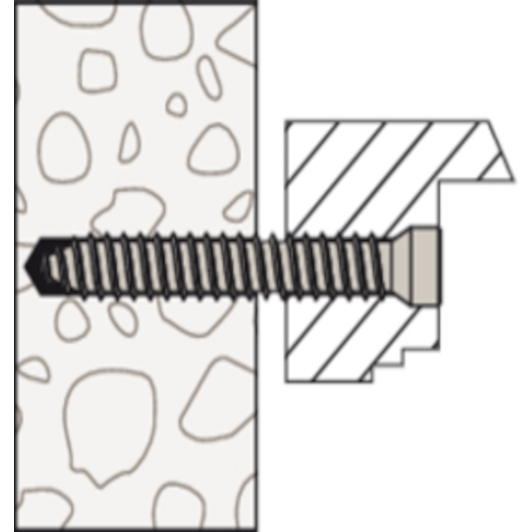 fischer_532910_6