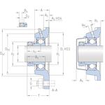 skf_fy25fm_2