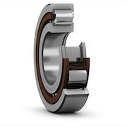 skf_nup2311ecp