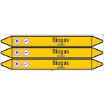 brady_n004121