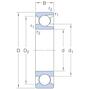 skf_209_2