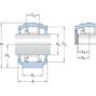 skf_snln3036_2
