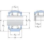 skf_snln3024_2