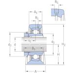 skf_syj45kf_2