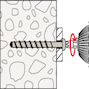 fischer_546379_8