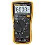 fluke_2583647