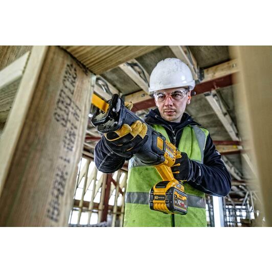 dewalt_dcs389n_xj
