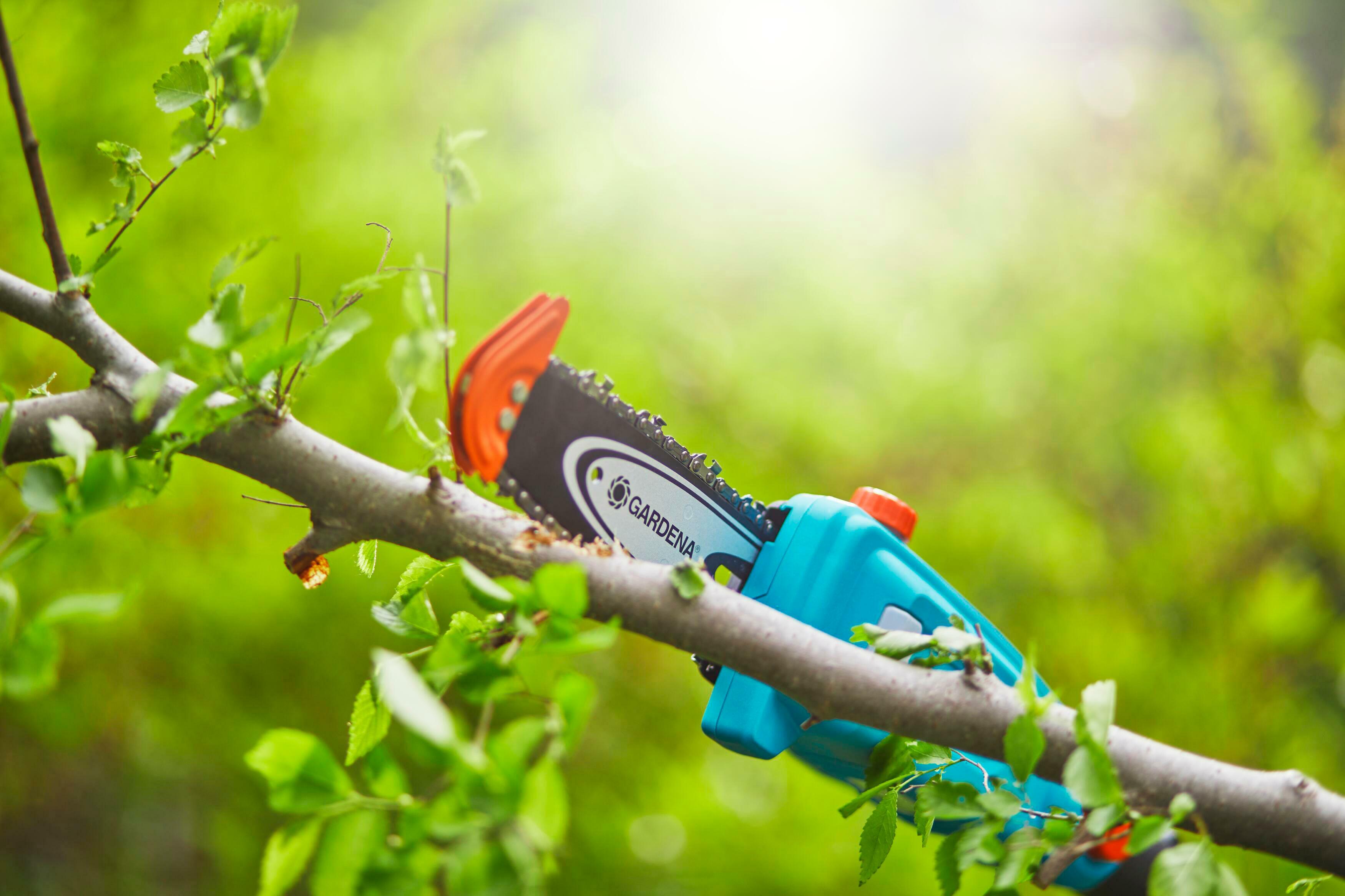 GARDENA TCS 20/18 P4A Set telescopic cordless pruning chainsaw