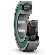 skf_6007_2rztn9hc5c3wt