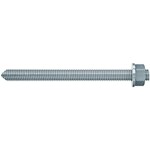 fischer_50261