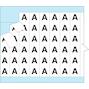 brady_111156_3