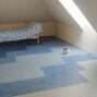 hg_150100103_4