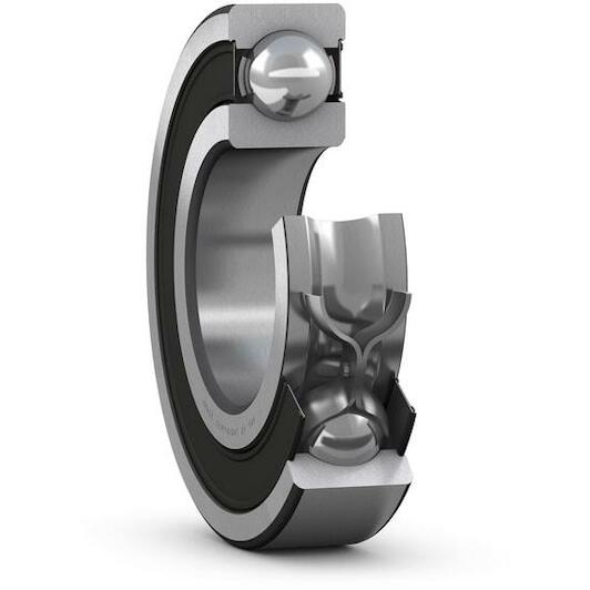 skf_6021_2rs1c3