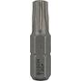 bosch_2607002499