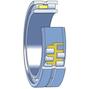 skf_nnu4920bspw33