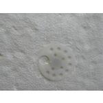 spit_038560