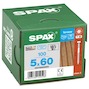 spax_92231000119_5