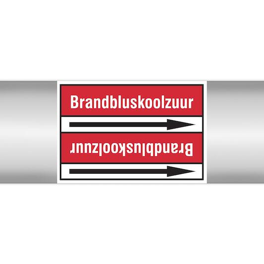 brady_267796