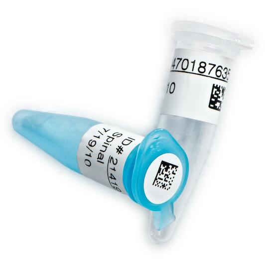 brady_019260_2