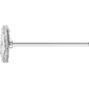 pferd_43100501