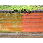 tec7_492025000_3