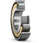 skf_n313ecm