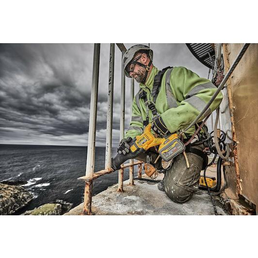 dewalt_dcs389x2_qw