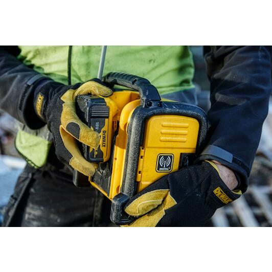 dewalt_dcr020_qw