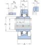 skf_ucpa206h_2