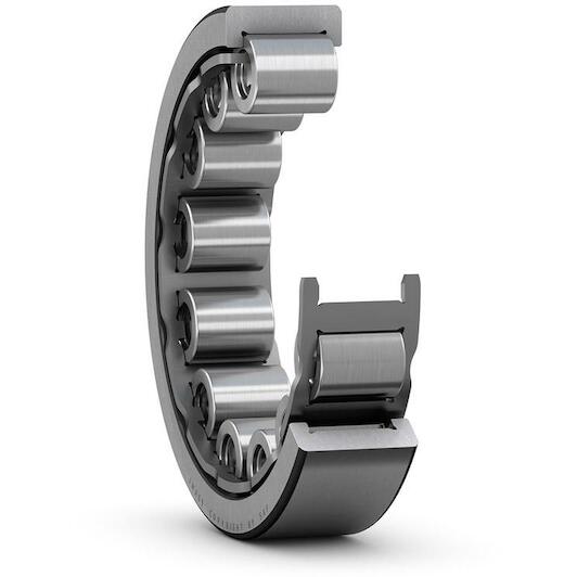 skf_rnu306