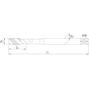 phantom_234800300_2
