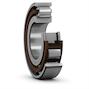 skf_n209ecp