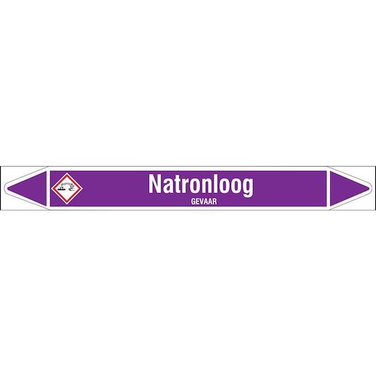 brady_n003951