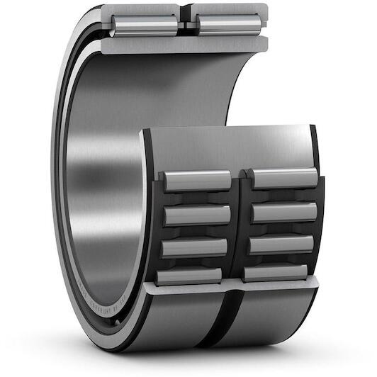 skf_na6918