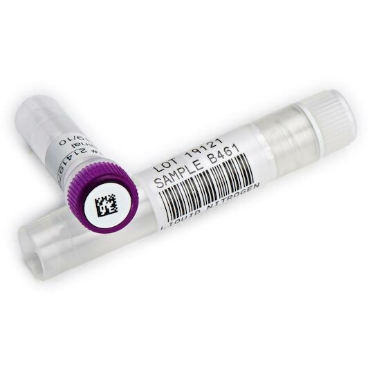 brady_062358_3